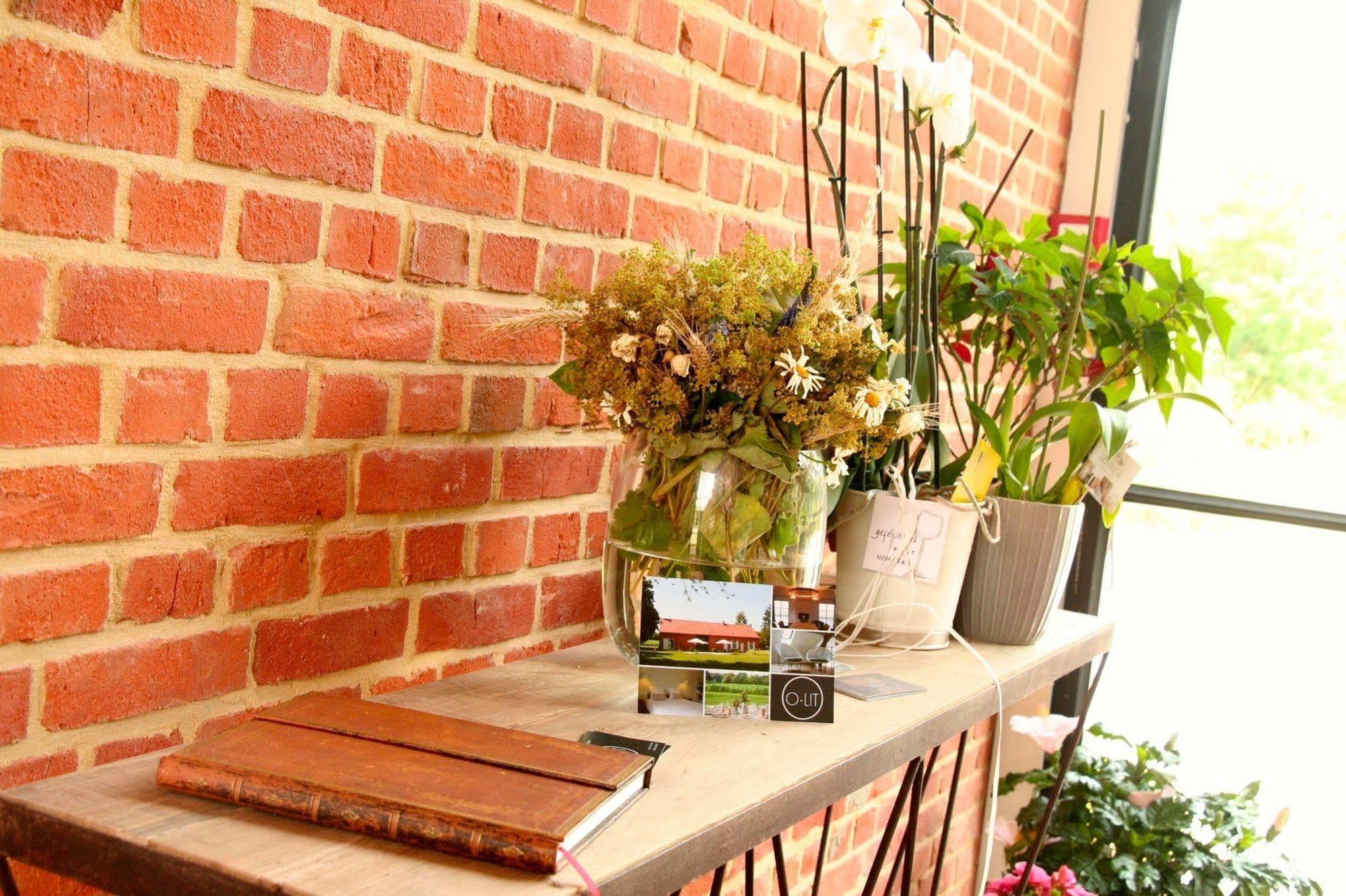 O-Lit Bed & Breakfast Paal ภายนอก รูปภาพ